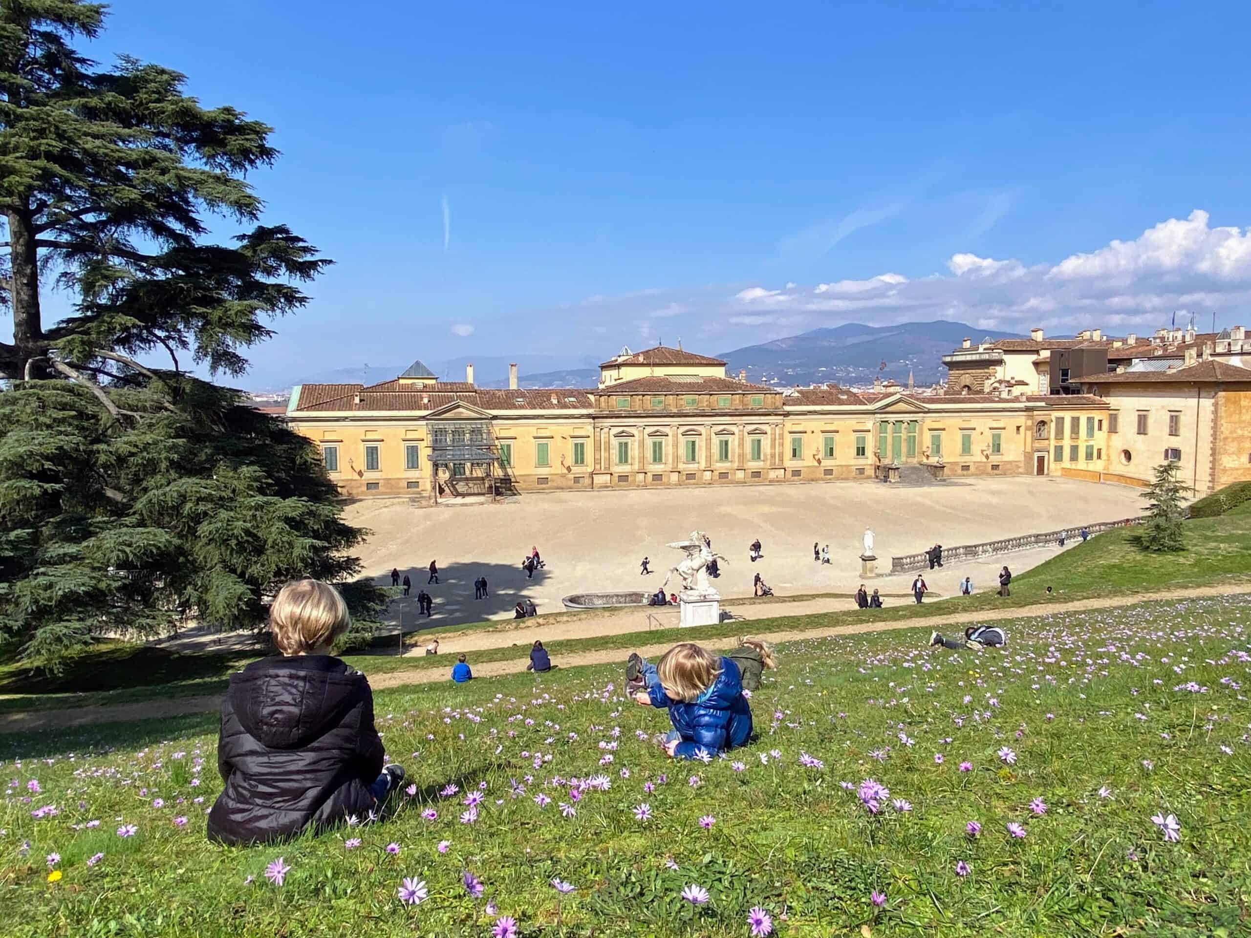 Boys sitting on a green hill full of purple crocus flowers. The hill overlooks the Pitti Palace. They are in the Boboli Gardens.