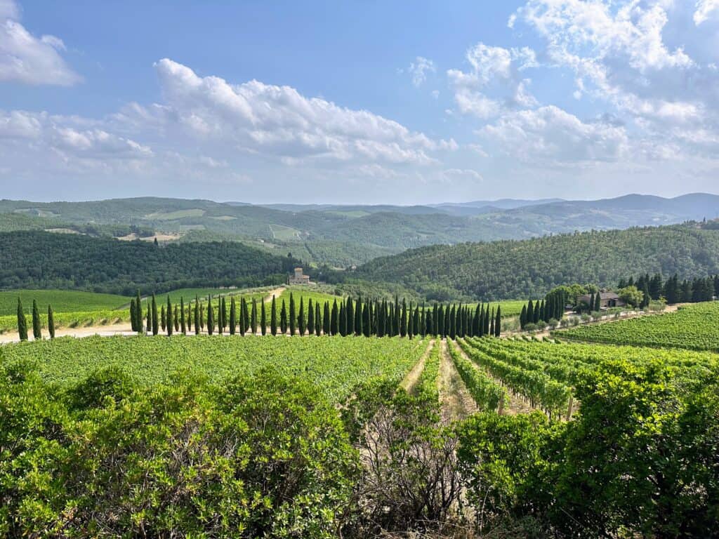 Vineyards and cypress trees in the rolling hills of Chianti, Tuscany, Italy.