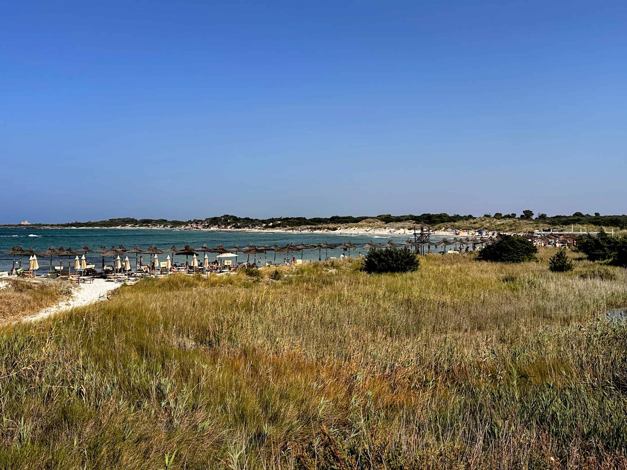 View of grassy area and in the distance, the beach at the Torre Guaceto nature reserve in Puglia. On the left are umbrellas and the private beach and to the right are sandy areas of the public beach.