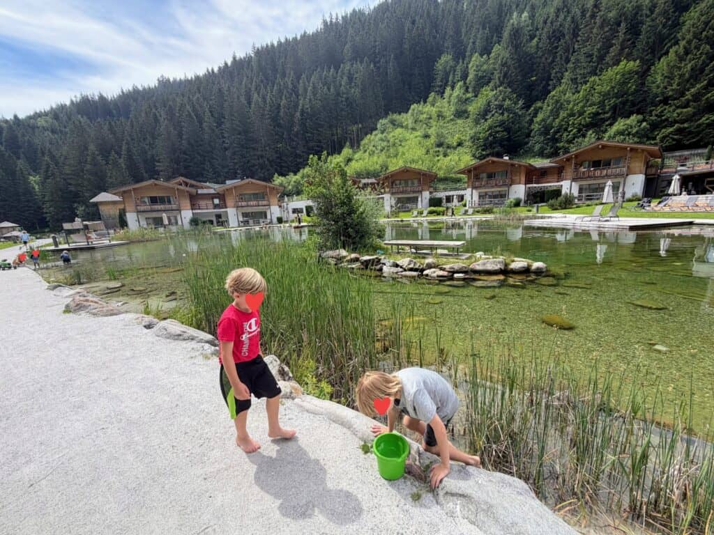 Two young boys are at the edge of a pond. They are looking into a green bucket. Behind the pond are chalets of the Feuerstein Family Hotel in the Dolomites. There are pines on a hillside behind the chalets.