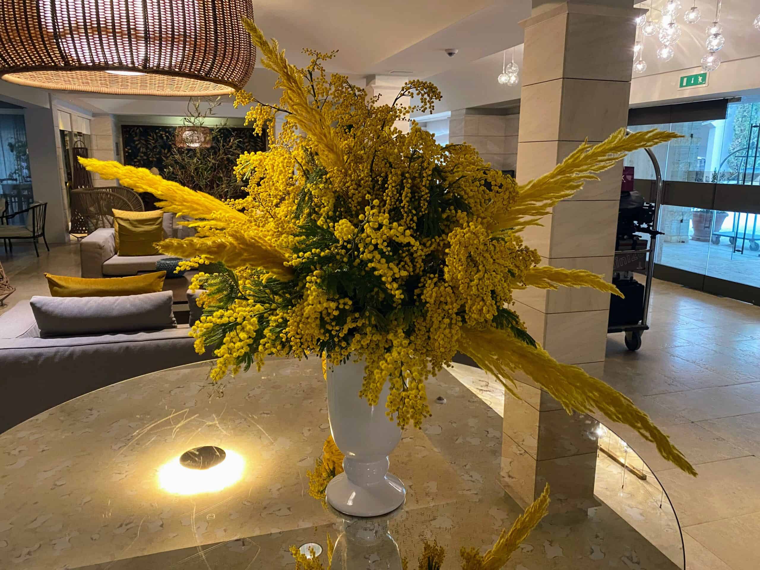Mimosa flowers on display in a vase in a cream colored hotel lobby. It's a hotel in Saturnia, Tuscany.